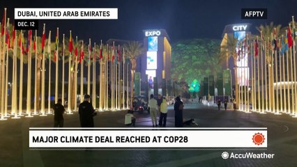 COP 28 ends with agreement on fossil fuels