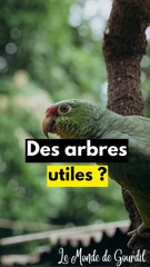 Sans l'Amazonie, on est pas sortis ..