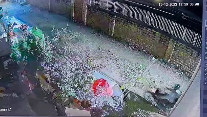 कार का शीशा फोड़ा, पेट्रोल डाला और आग लगा दी