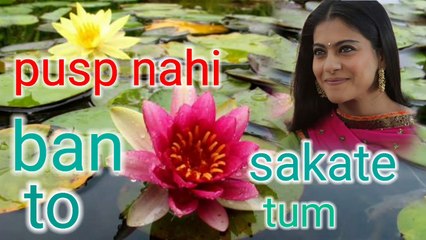 Pusp nahi ban sakate to run kaate ban ke mat rahna Superhit song music