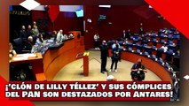 ¡VEAN! ¡’Clón de Lilly Téllez’ y sus cómplices del PAN son destazados por Antares por atacar a AMLO!