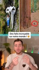 Des faits incroyable sur notre monde
