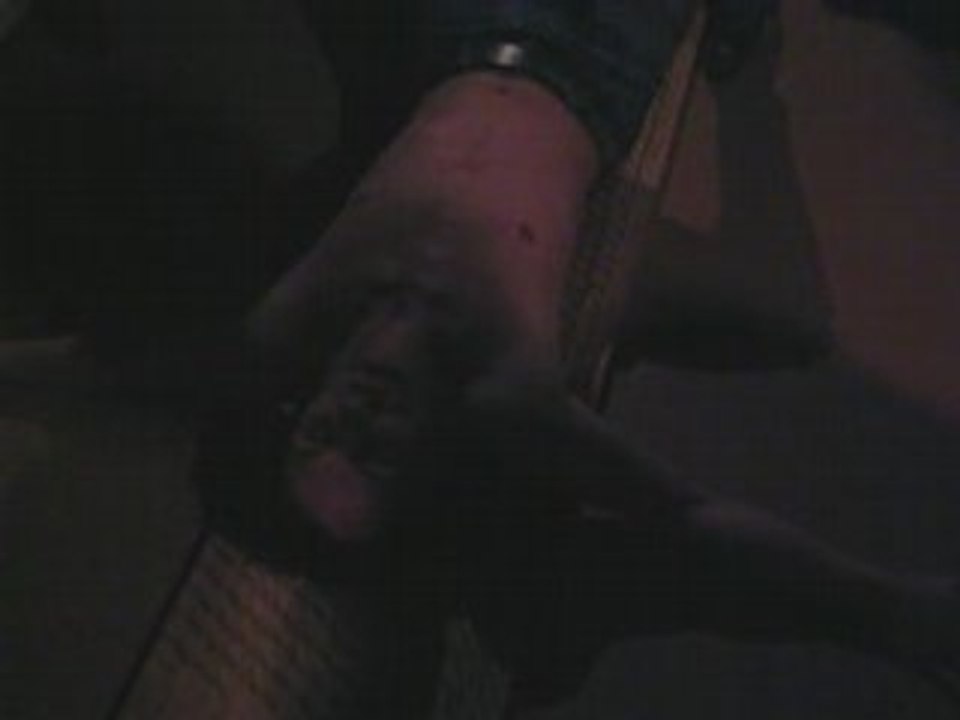 jojo le saltimbanque