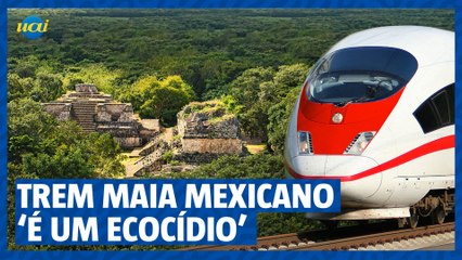 México inaugura primeiro trecho do Trem Maia, mas ativistas alertam “É um ecocídio”