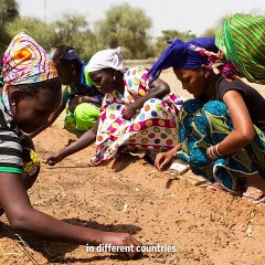 What is Africa's "Great Green Wall"?