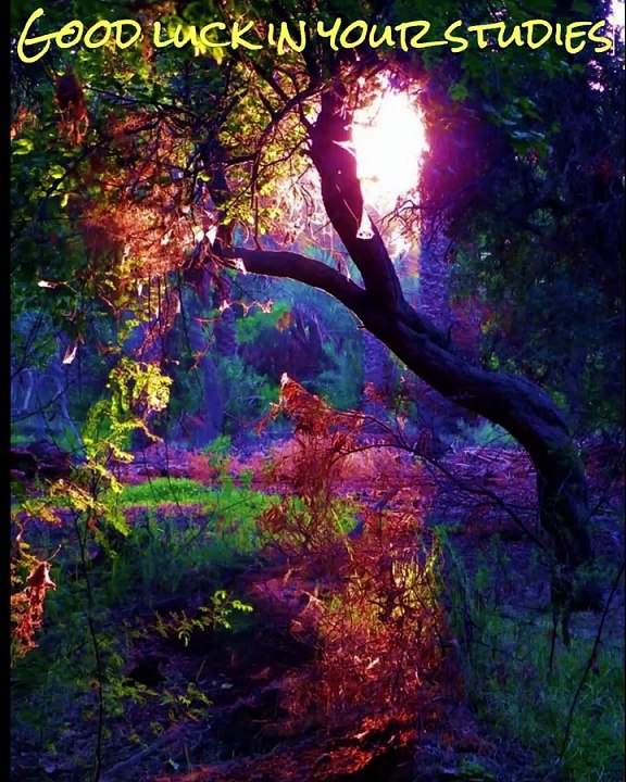 best lo-fi study in the universe for more focus in the study and depth of understanding relaxation