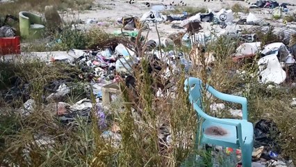 Los perros de nadie | Parte II: El grito de auxilio de los que no tienen voz