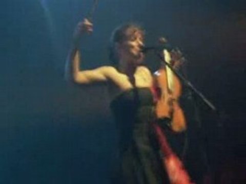 La Métamorphose De Mister Chat-Dionysos à Clermont Ferrand