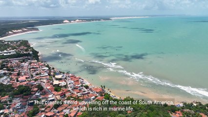 @ Exploring El Niño - Causes, Impacts, and Long-Term Effects