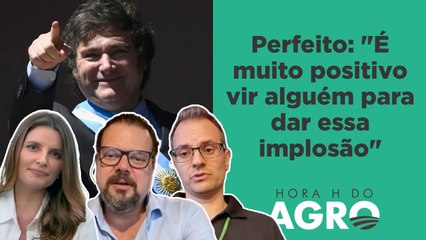 Começo da Era Milei: os sinais de que a Argentina está na direção certa | HORA H DO AGRO
