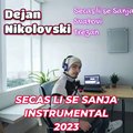 Dejan Nikolovski - Vesna Zmijanac - Svatovi Instrumental Cover (2023)