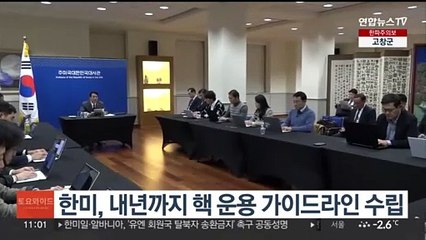 한미, 내년까지 핵 운용 가이드라인 수립
