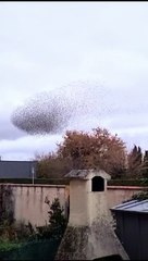 What is this in the sky | Amazing and strange something flying,