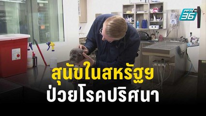สหรัฐฯ พบสุนัขป่วยปริศนา เกือบทั่วประเทศ | ทันโลก EXPRESS | 16 ธ.ค. 66