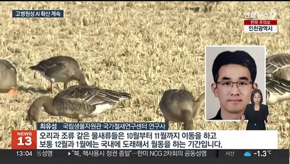 철새 줄었지만…조기 발견 어려운 AI 바이러스 유행
