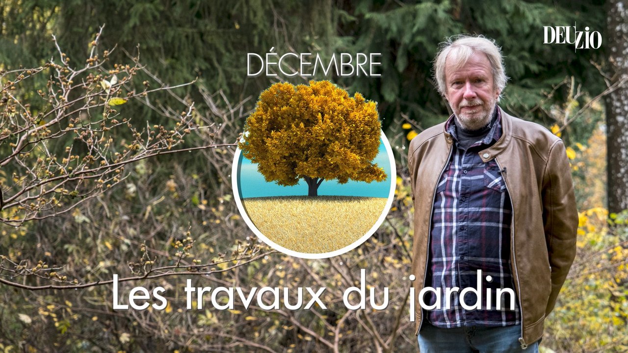 Travaux du jardin - 16 décembre 2023 : pas de conifère dans les haies