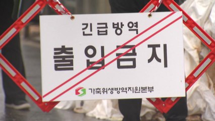 가금류 농장 18곳 고병원성 AI 확진..."달걀·닭고기 수입" / YTN