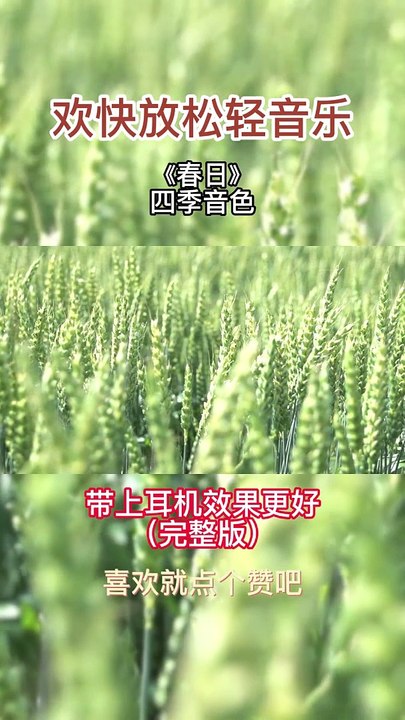 Soothing Melodies: Serenity in Sound