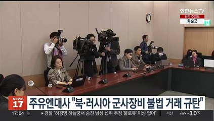 주유엔대사 "북·러시아 군사장비 불법 거래 규탄"