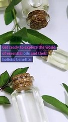 Exploring Essential Oils for Holistic Wellness