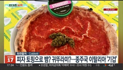 [지구촌톡톡] 피자 토핑으로 뱀? 귀뚜라미?…종주국 이탈리아 '기겁' 外