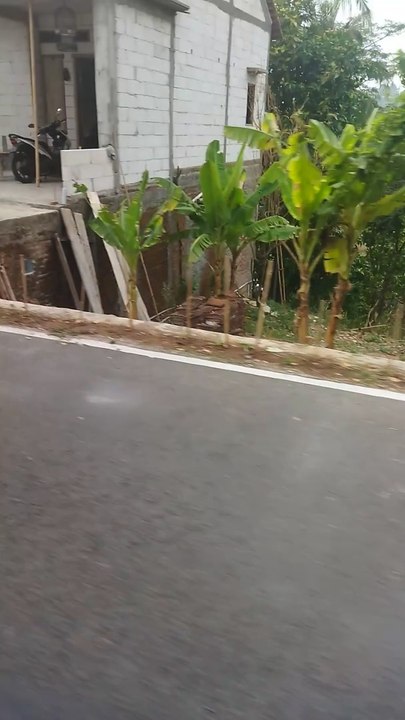 kudus city ️