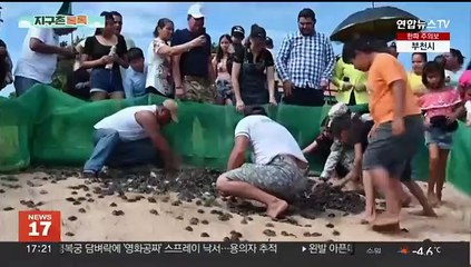 [헤이!월드] '베를린 태생' 쌍둥이 판다…아쉬운 작별인사 外