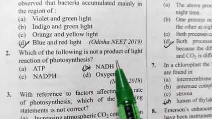 NEET pyq of photosynthsis in higher plants plants
