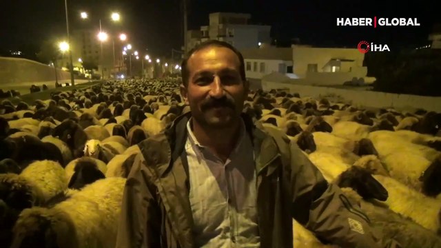 Gecenin sessizliğini kuzu ve koyunların ayak sesleri bozdu