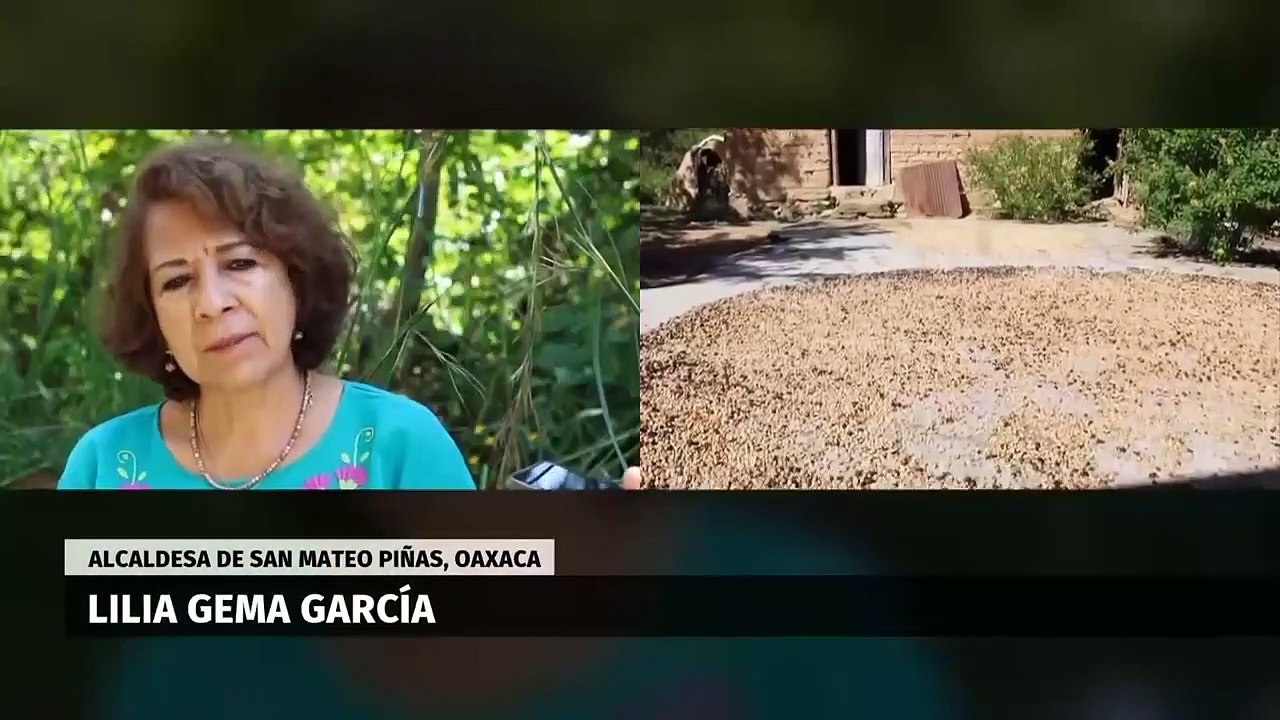 Mónica Soto es electa como presidenta del TEPJF. Elisa Alanís, 15 de diciembre de 2023