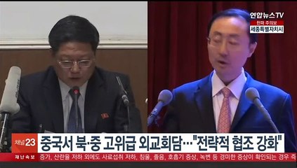 중국서 북·중 고위급 외교회담…"전략적 협조 강화"