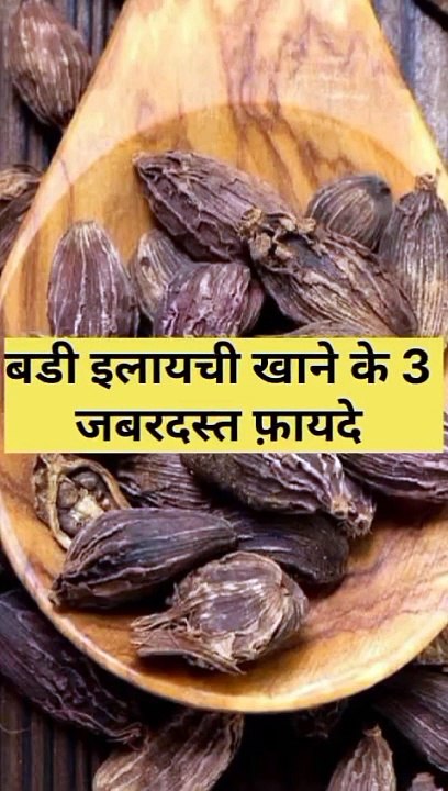 बडी इलाइची खाने के 3 ज़बरदस्त फायदे #health