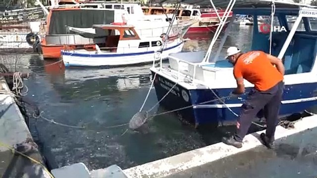 Akdeniz'de mikroplastik alarmı: Denizden çıkan 1 ton atığın 800 kilogramı plastik