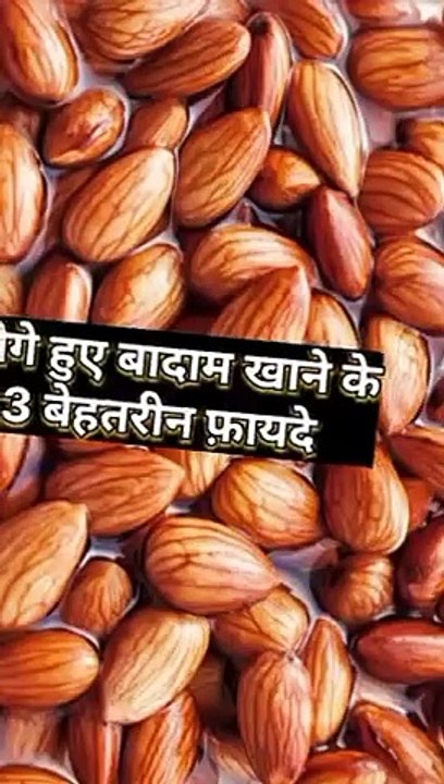 बडी इलाइची खाने के 3 ज़बरदस्त फायदे #health