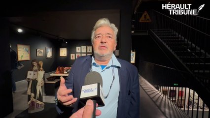 Interview Hervé Di Rosa artiste peintre