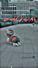 TikTok video_7292044644836265221(MP4)