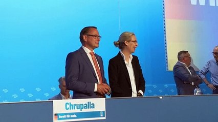 AfD-Chefin Weidel offenbar unter Plagiatsverdacht