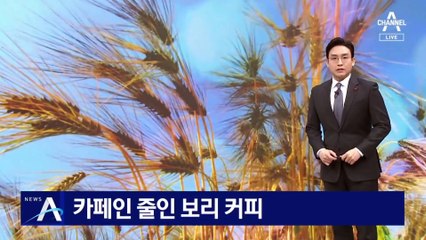 “카페인 부담스러워”…원두 없는 대체커피 온다