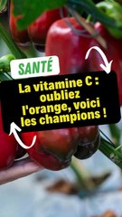La vitamine C : oubliez l'orange, voici les vrais champions !