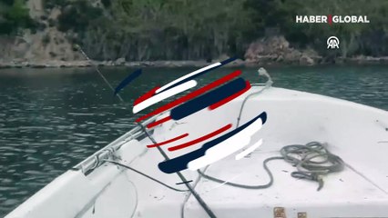 Yine aynı yerde görüntülendi: Kayda almaya başladı, bir anda ormanın derinliğinde kayboldular