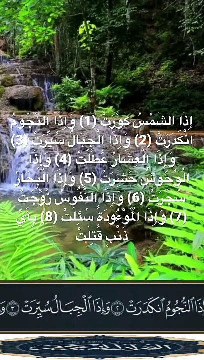 عبدالباسط عبدالصمد التكوير