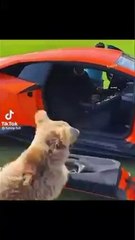 all mishaps #funny