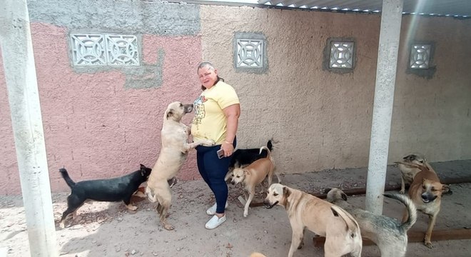 Após ventania, ativista pede ajuda para refazer telhado de canil e proteger animais em Cajazeiras