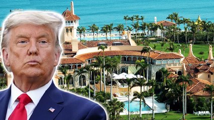 5 Choses Les Plus Chères Achetées Par Donald Trump