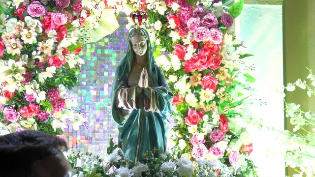 Festa da Padroeira de Cachoeira dos Índios emociona com procissão e coroação da Imaculada Conceição