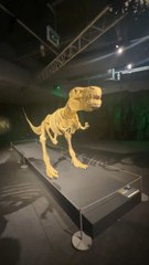 Une exposition tout en Lego à Paris chez « Art of The Brick » un inmanquable de la capitale 