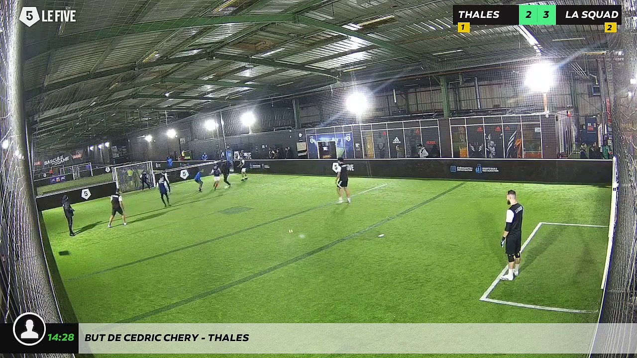 But de Cedric Chery - THALES