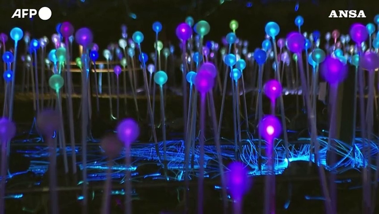 Sbarca a New York l'installazione artistica immersiva 'Field of Light'