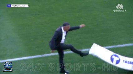 Socceroos Legend Can See the Funny Side of A-League Red Card for Kicking Advertising Hoarding