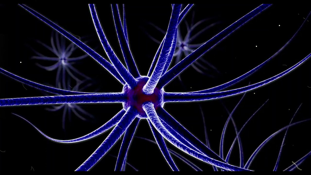 Effective Communication skills